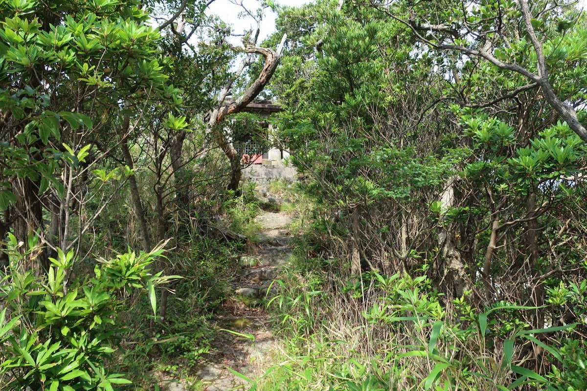 f:id:turumigawa915:20200714224838j:plain