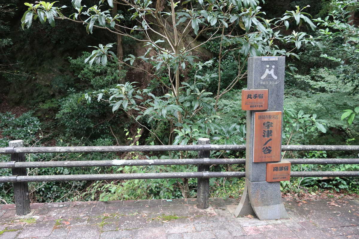 f:id:turumigawa915:20201110232255j:plain