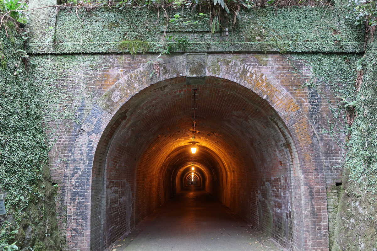 f:id:turumigawa915:20201111195802j:plain