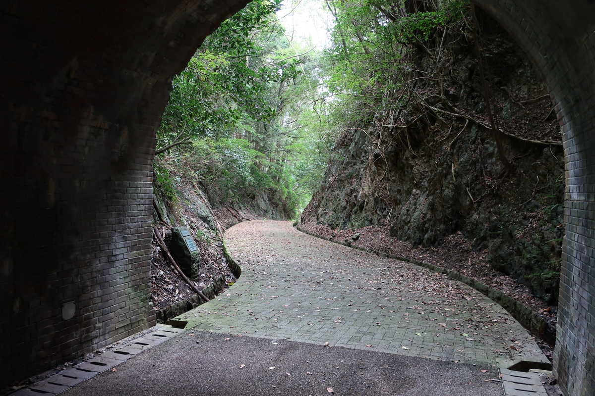 f:id:turumigawa915:20201111203444j:plain