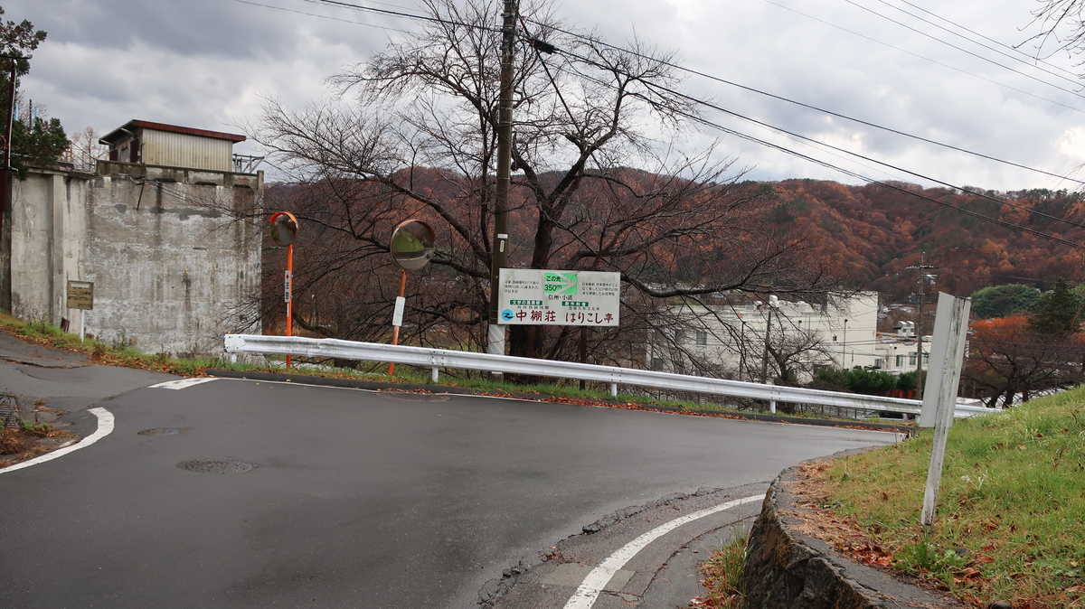 f:id:turumigawa915:20210109194527j:plain