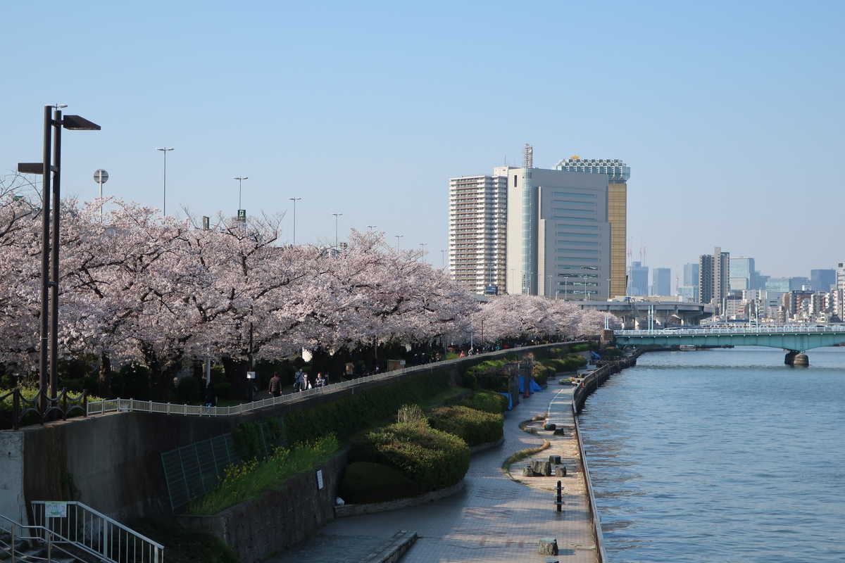 f:id:turumigawa915:20210620130213j:plain