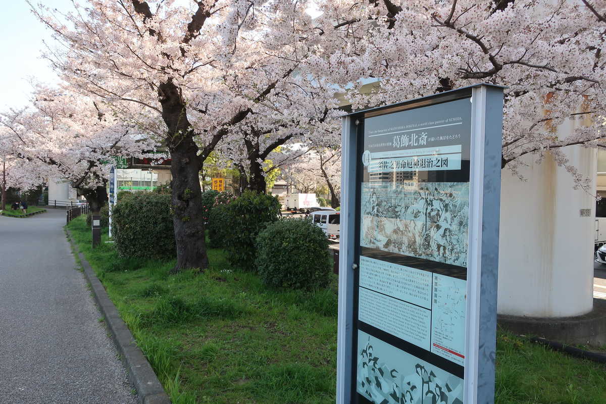 f:id:turumigawa915:20210620131523j:plain