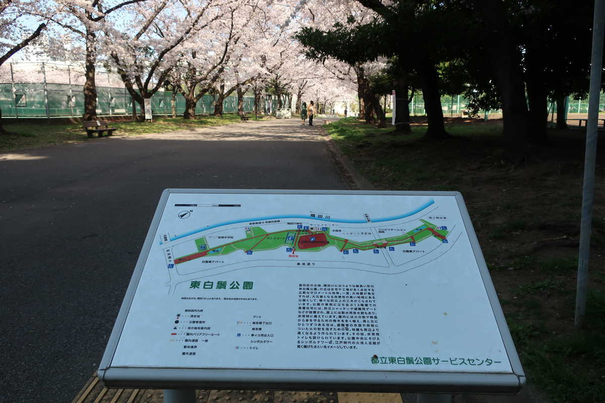 f:id:turumigawa915:20210620141236j:plain