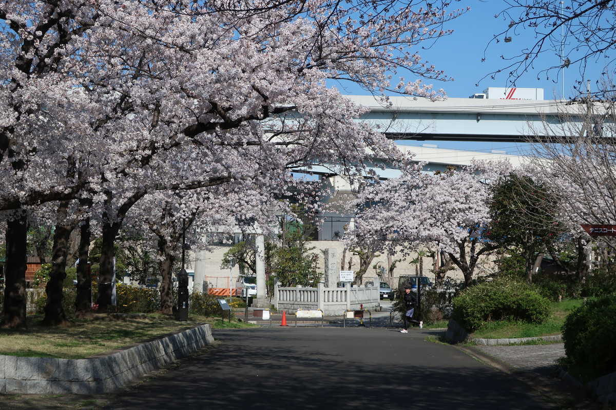 f:id:turumigawa915:20210620141642j:plain