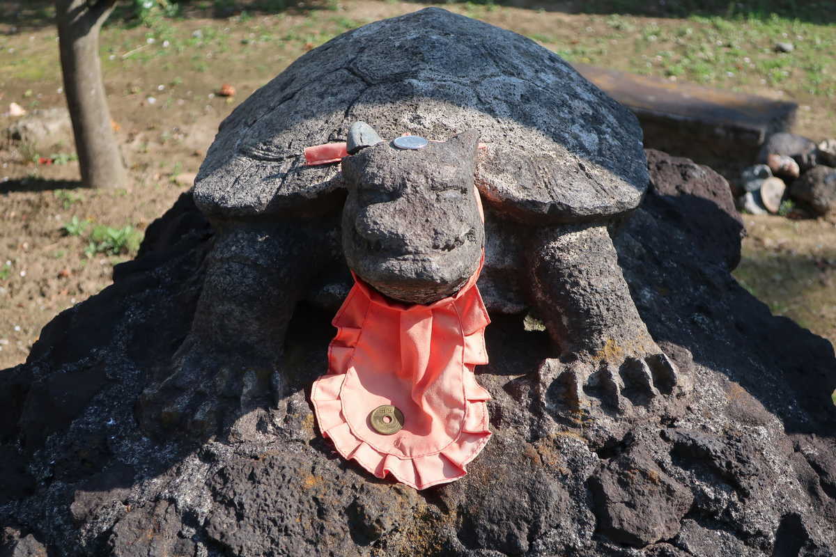 f:id:turumigawa915:20210620142518j:plain