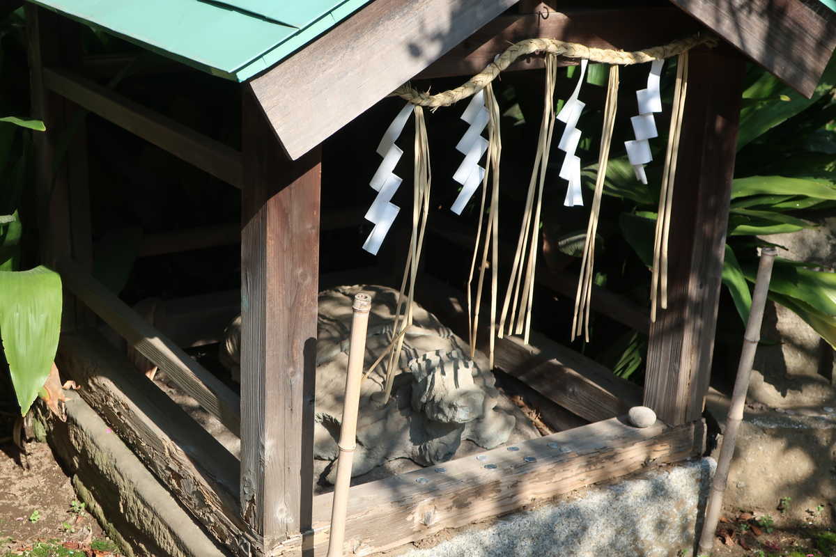 f:id:turumigawa915:20210620142811j:plain