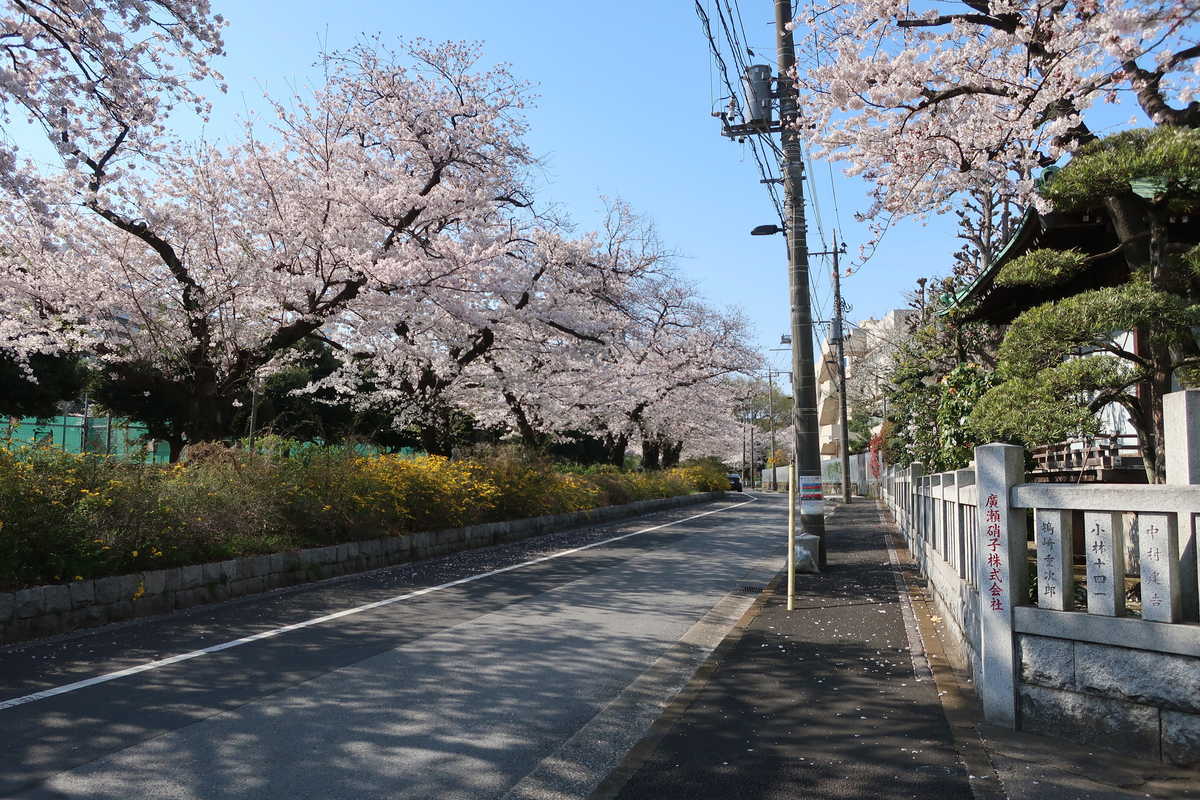 f:id:turumigawa915:20210620143329j:plain