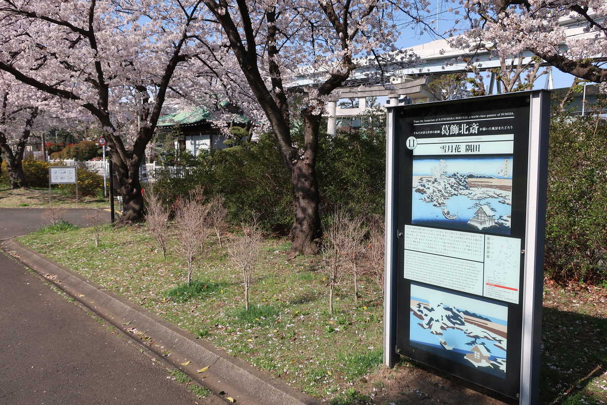 f:id:turumigawa915:20210620143724j:plain