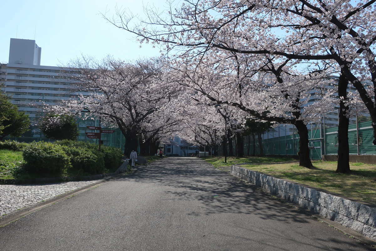 f:id:turumigawa915:20210620144054j:plain