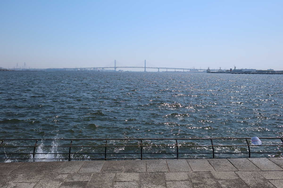 f:id:turumigawa915:20210812195401j:plain