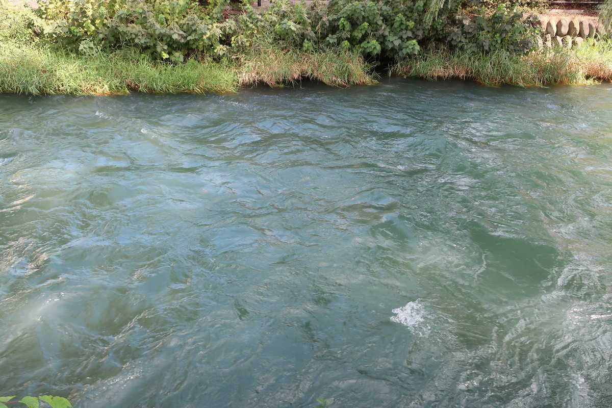 f:id:turumigawa915:20210929155013j:plain