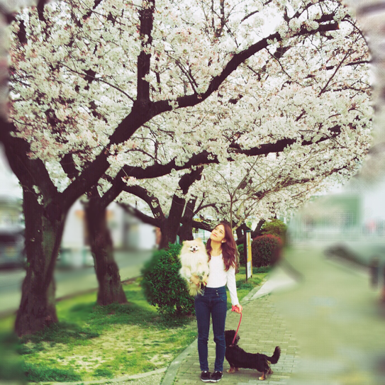 f:id:turuuuun:20160331211742p:plain