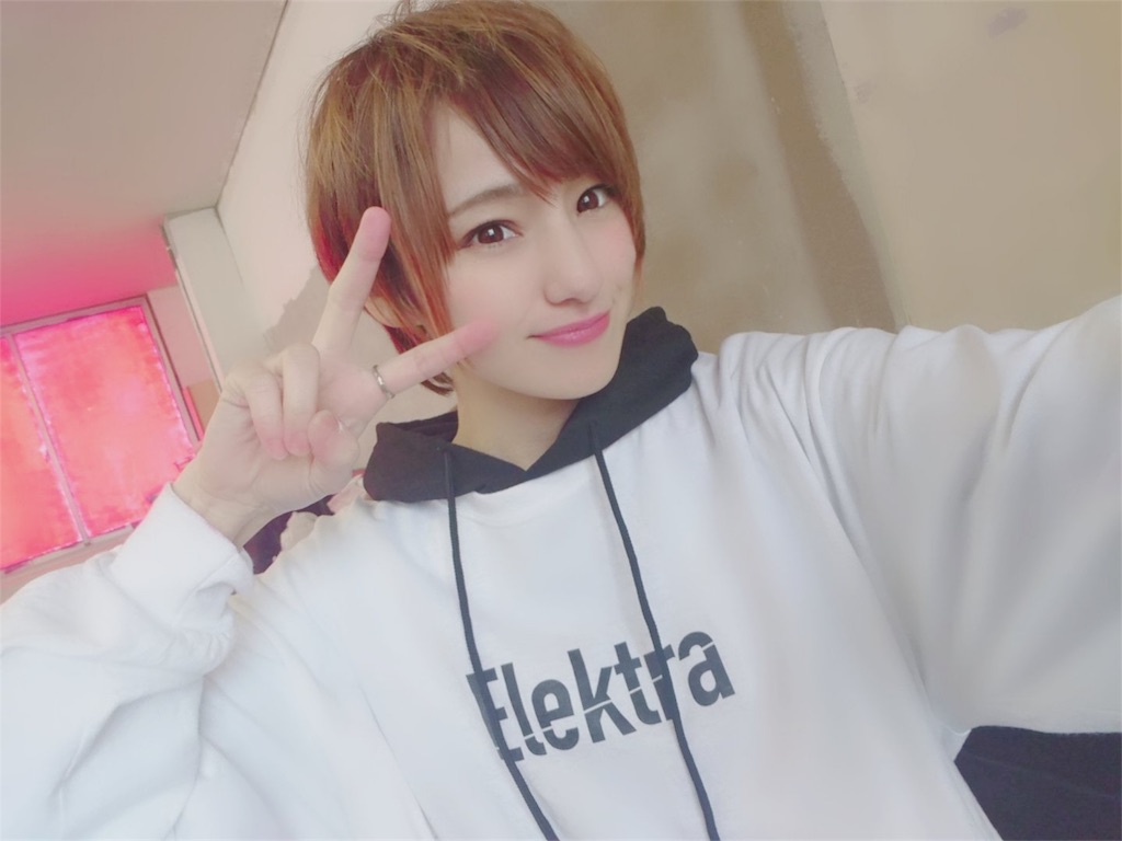 f:id:turuuuun:20190205204233j:image