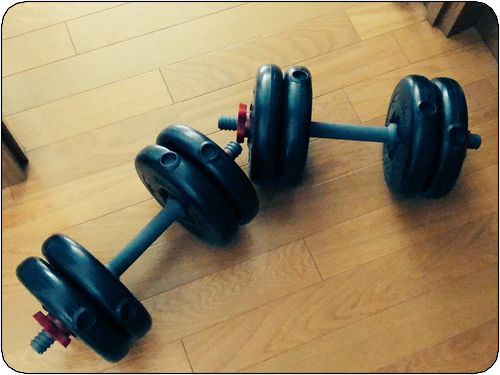 f:id:tusako-d:20180831121132j:plain