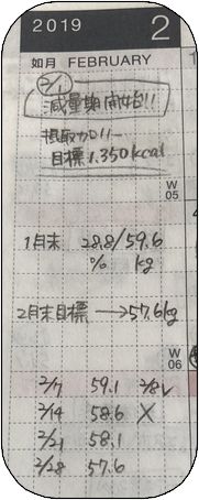 f:id:tusako-d:20190220164827j:plain