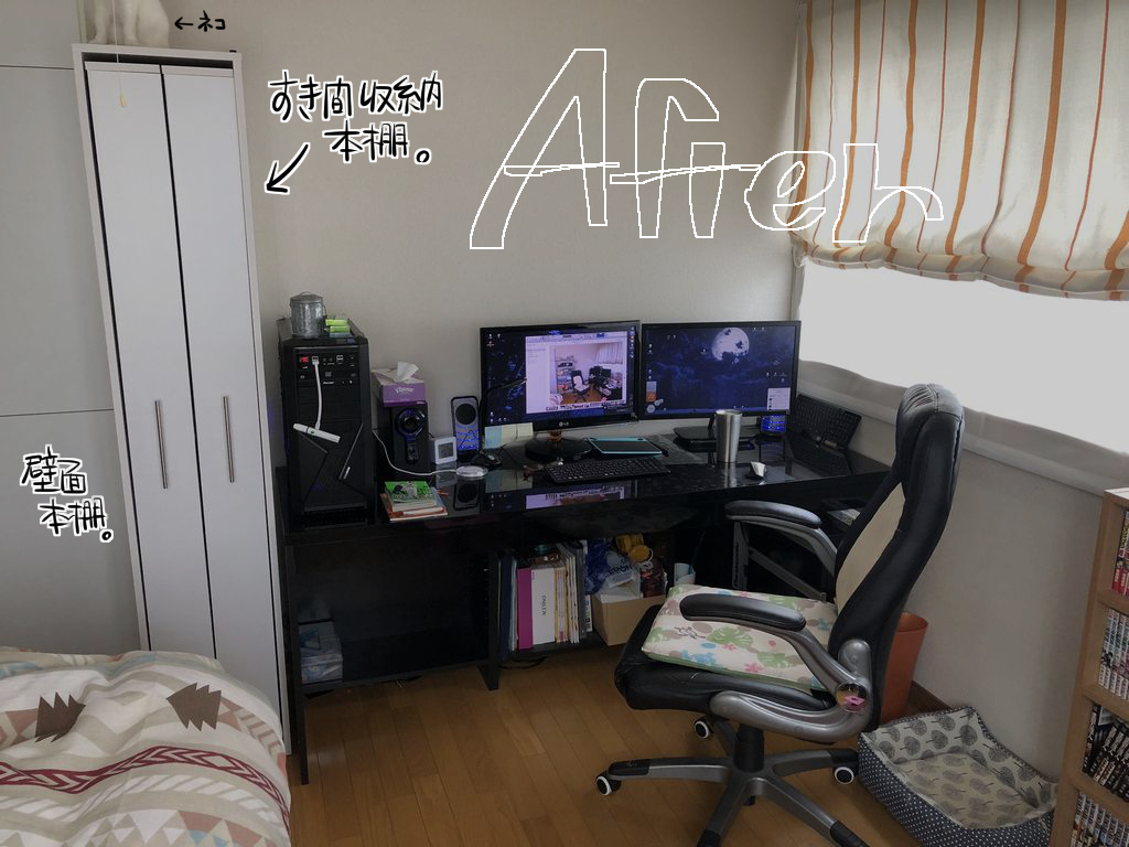 f:id:tusako-d:20190520161509j:plain
