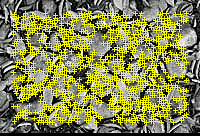 f:id:tuti107:20161201161155j:plain f:id:tuti107:20161201161155j:plain