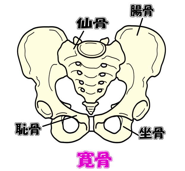 f:id:tutidobashi:20170228111329p:plain f:id:tutidobashi:20170228111329p:plain