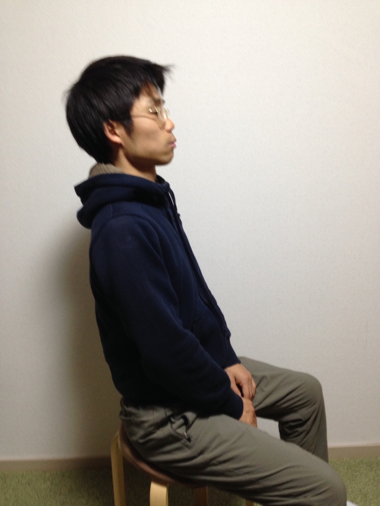 f:id:tutiteru:20161118011549j:plain f:id:tutiteru:20161118011549j:plain
