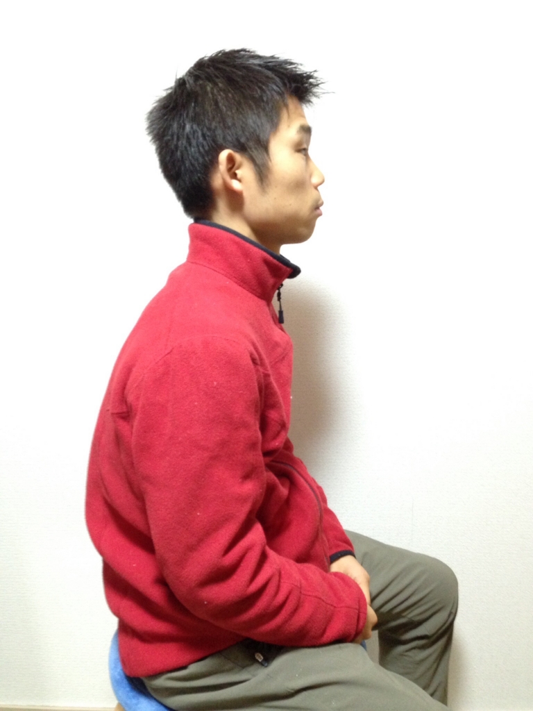 f:id:tutiteru:20170129112046j:plain f:id:tutiteru:20170129112046j:plain