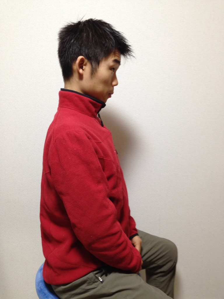 f:id:tutiteru:20170129112102j:plain f:id:tutiteru:20170129112102j:plain