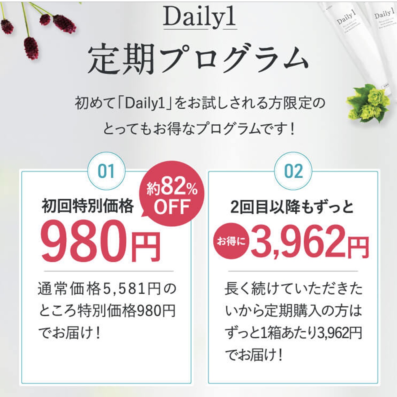 デイリーワンの公式サイトでの割引価格