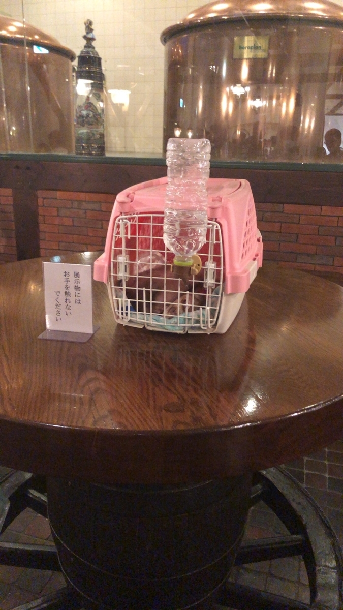 f:id:tuwatuwa:20190926012135j:plain f:id:tuwatuwa:20190926012135j:plain