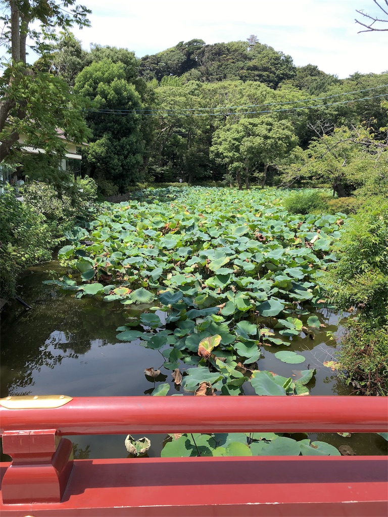 f:id:tuyoki:20190810223421j:image