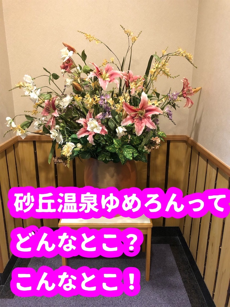 f:id:tuyoki:20190823094240j:image