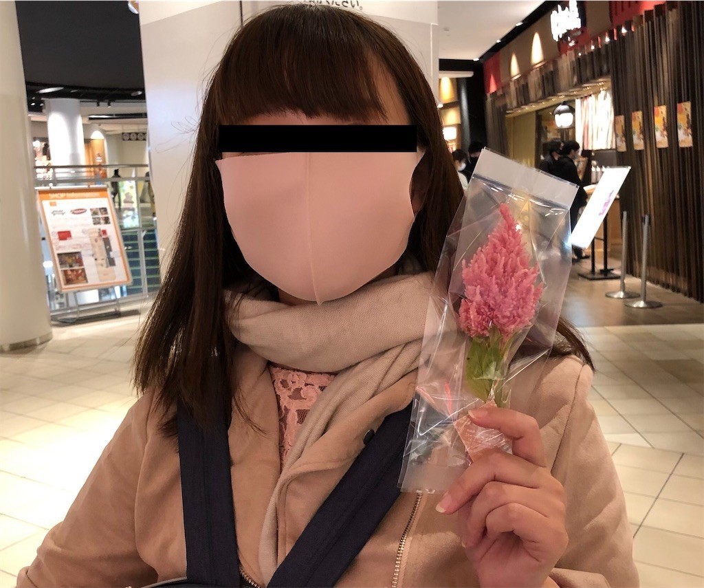 f:id:tuyoki:20201116132515j:plain f:id:tuyoki:20201116132515j:plain
