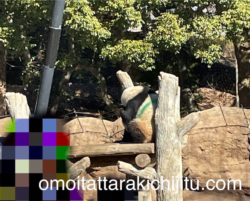 f:id:tuyoki:20240125184856j:image