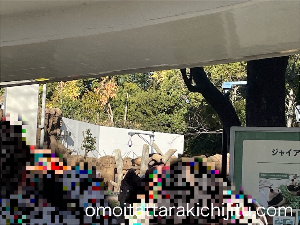 f:id:tuyoki:20240125184859j:image