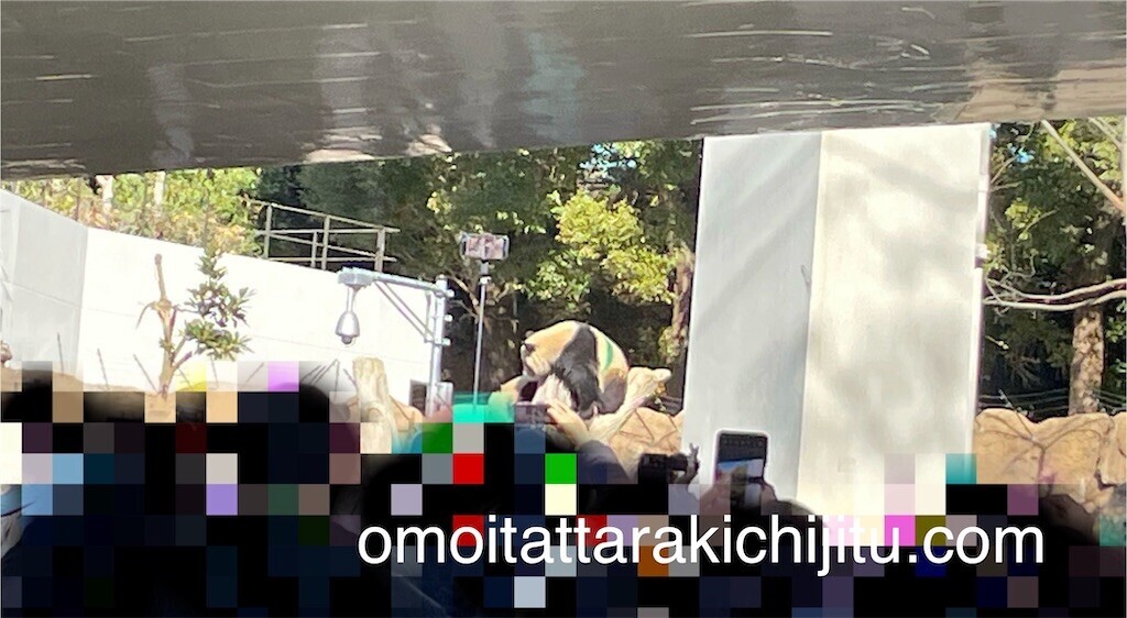 f:id:tuyoki:20240125184903j:image