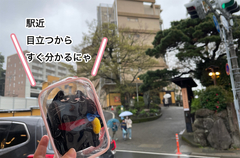 f:id:tuyoki:20250330163459p:image