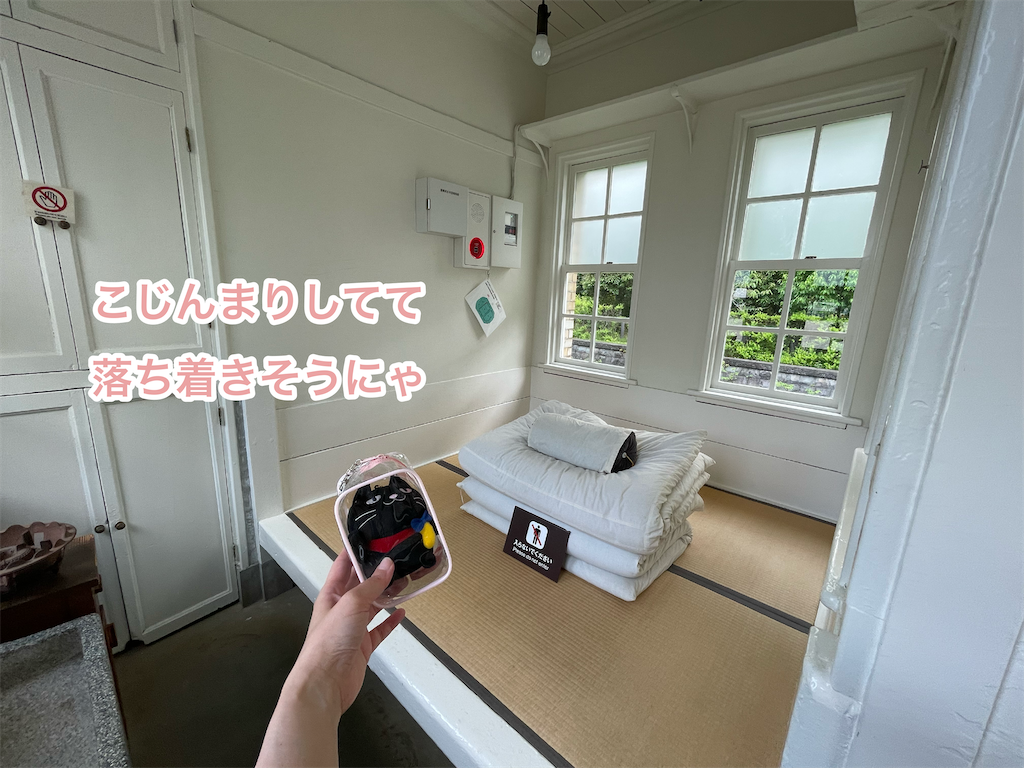 f:id:tuyoki:20250507090146p:image