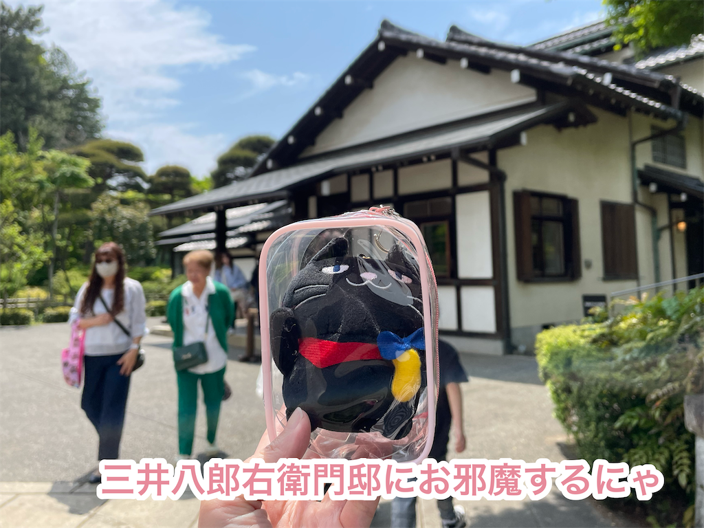 f:id:tuyoki:20250522093157p:image