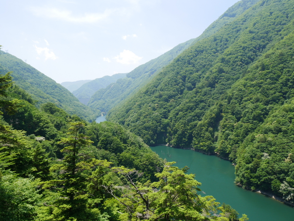 f:id:tuyomushi99:20180728164728j:plain f:id:tuyomushi99:20180728164728j:plain
