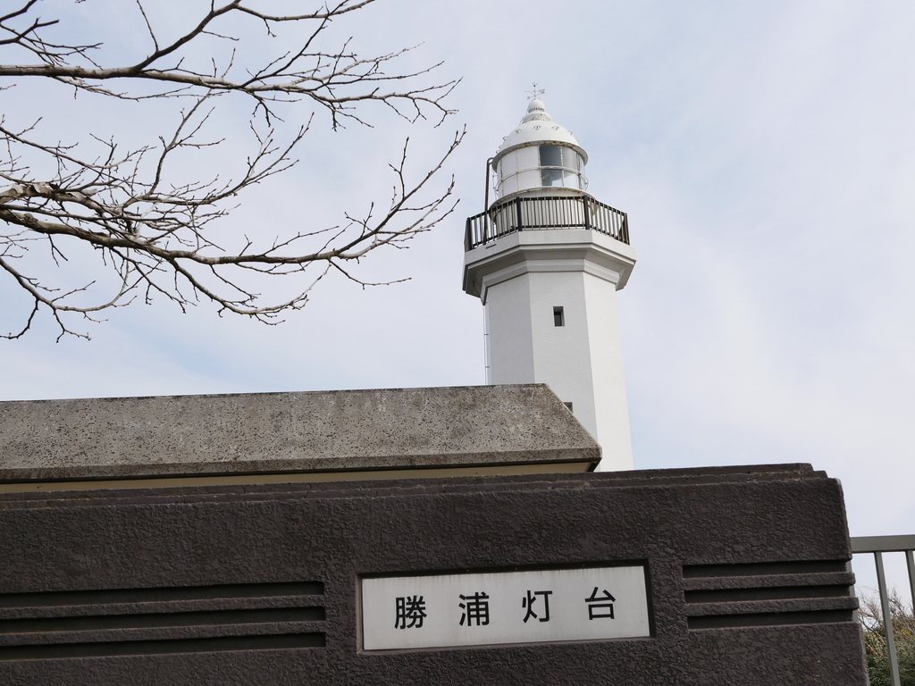 f:id:tuyomushi99:20190130200125j:plain