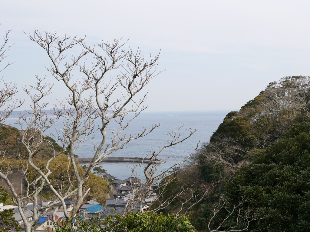 f:id:tuyomushi99:20190130200455j:plain