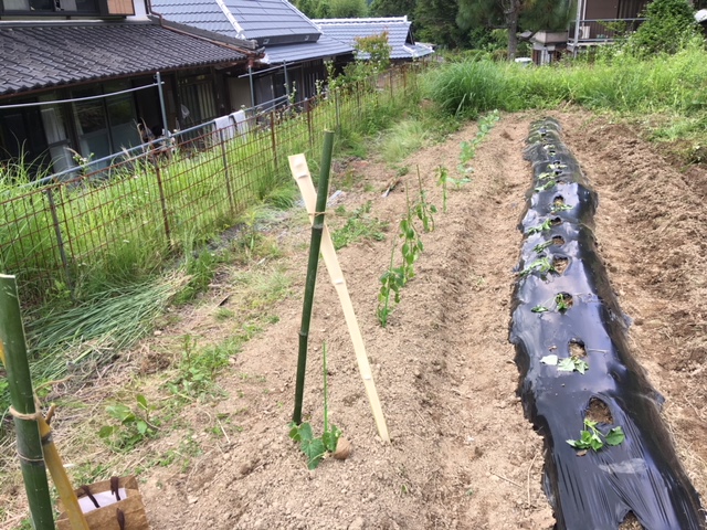 f:id:tuyopon-note:20180702053108j:plain f:id:tuyopon-note:20180702053108j:plain