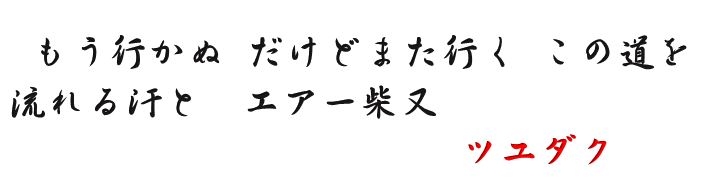 f:id:tuyudaku1218:20170608114404j:plain