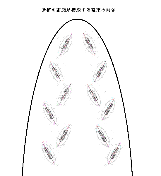 f:id:tuyukusanotuyu:20161211015526g:plain f:id:tuyukusanotuyu:20161211015526g:plain