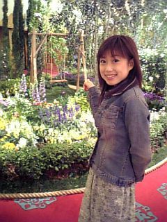flower.jpg flower.jpg