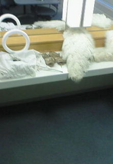 200704261820000.jpg 200704261820000.jpg
