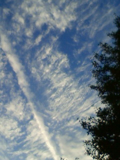 200811191554000.jpg 200811191554000.jpg