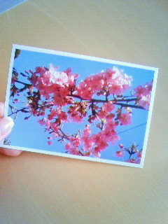 200902281457000.jpg 200902281457000.jpg