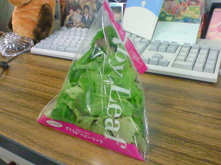 200704190029000.jpg 200704190029000.jpg