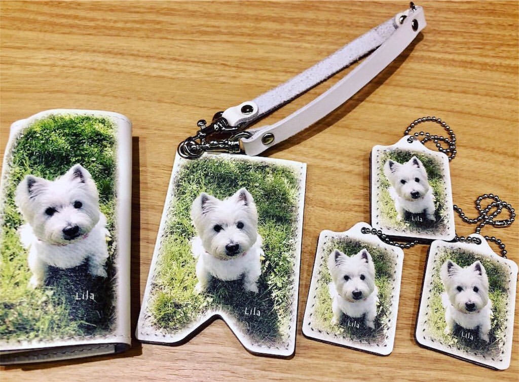 f:id:tvxqjyo:20181009130131j:image