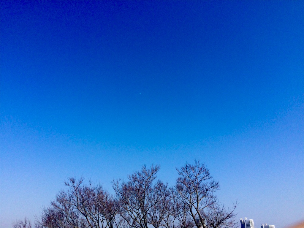 f:id:tw101:20210221151524j:image f:id:tw101:20210221151524j:image